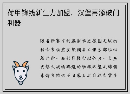 荷甲锋线新生力加盟，汉堡再添破门利器